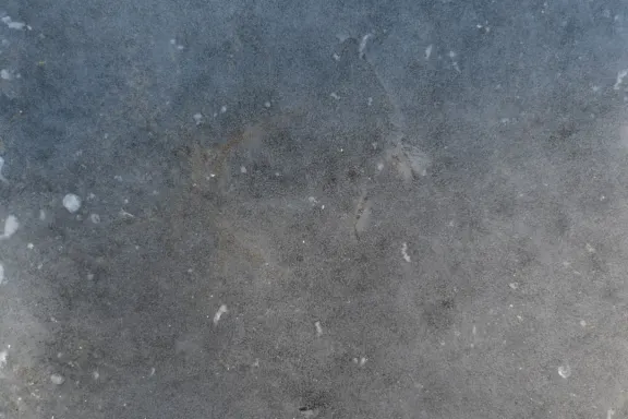 Kasino Coins Game Sokongan